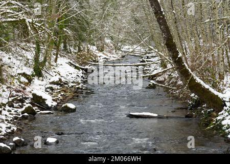 Fresh fallen snow along the banks of a stream and resting on top of trees Stock Photo