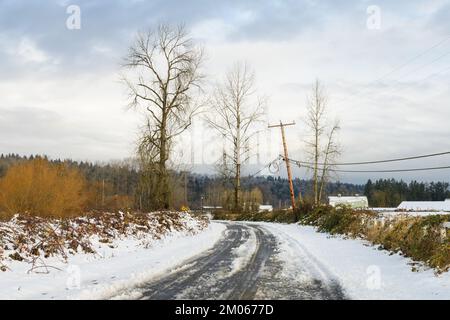 Slush covered county road in the Snoqualmie Valley in winter with barren trees and snow Stock Photo