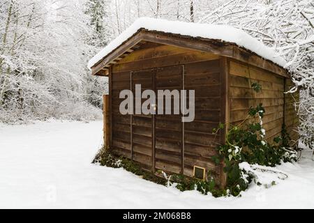 Wooden slat garden shed with snow on the ground and the roof and blackberry vines growing Stock Photo