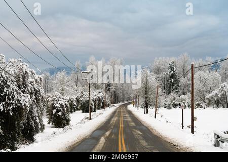 Slush on a road with snow on roadside, trees, and telephone poles under a cloudy sky in winter Stock Photo