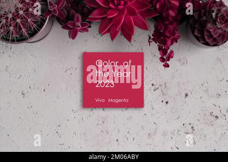 https://l450v.alamy.com/450v/2m06aby/home-plant-toned-in-trendy-colour-magenta-over-white-background-flat-lay-text-color-of-the-year-2023-viva-magenta-2m06aby.jpg