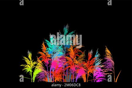 Colored reeds in watercolor on a black background. Vector illustration Stock Vector