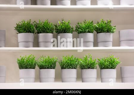 Artificial plants made of plastic in gray pots lined up on two shelves attached to the wall Stock Photo