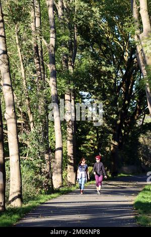 Diemelradweg und Wanderweg auf der Trasse der ehemaligen Carlsbahn, Hessen, Deutschland, Trendelburg Stock Photo