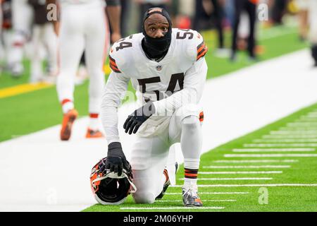 Houston Texans linebacker Jake Hansen (49) during an NFL football game  against the Cleveland Browns on Sunday, December 4, 2022, in Houston. (AP  Photo/Matt Patterson Stock Photo - Alamy