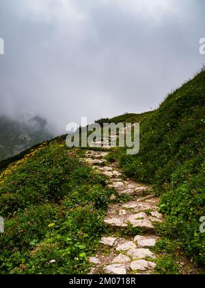 Wavy S-curve mountain path through flowery landscape in the mountains, High Tatras Slovakia Stock Photo