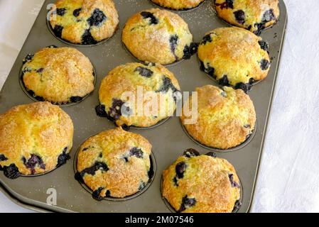 Freshly baked homemade Blueberry Orange Muffins in a muffin tin. Stock Photo