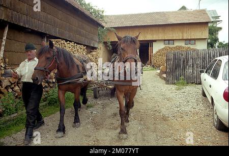 Prahova County, Romania, approx, 2000. Local farmer taking out a horse-pulled wagon out of his barnyard. Stock Photo