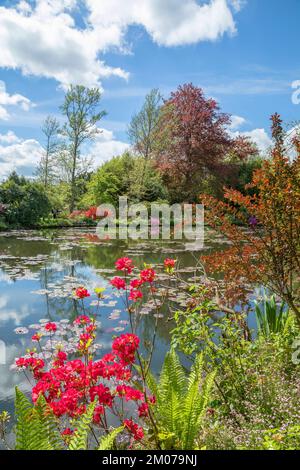 Claude Monet's lily pond in Springtime, Giverny, France Stock Photo