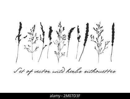 Set of plants vector silhouette. Summer illustration elements. ESP 10. Stock Vector