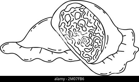 Mexican Empanadas. Half of broken dumpling with stuffing close-up. Vector linear hand drawing Latin American food in doodle style Stock Vector