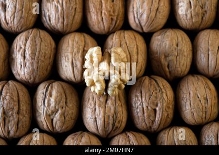 One peeled walnut, on the shelled walnut group Stock Photo