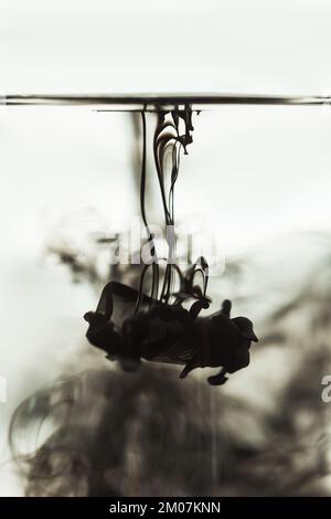 a cloud of ink in a transparent glass cup with clear water amid rays of light. Template, layout, background, texture. macro diffusion black and white Stock Photo