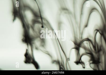a cloud of ink in a transparent glass cup with clear water amid rays of light. Template, layout, background, texture. macro diffusion black and white Stock Photo