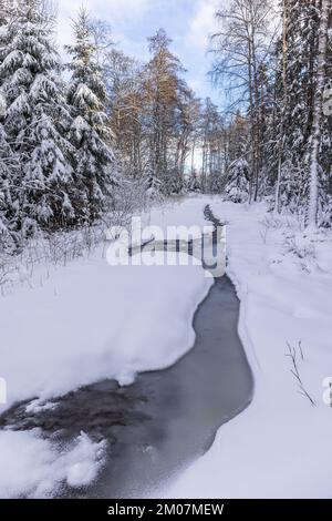 Frozen puddle in a winter forest with snow Stock Photo
