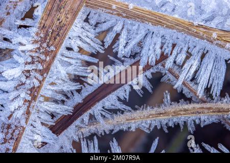 Frost crystals, clear frost crystals in the cold morning Stock Photo