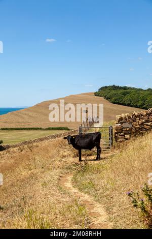 Walking the south west coast path near the village of Abbotsbury Stock Photo