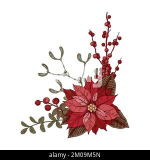 Christmas botany composition with poinsettia flower and mistletoe. Vector illustration in sketch style isolated on white background Stock Vector