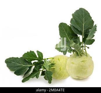 Fresh Cabbage turnip isolated on white background Stock Photo