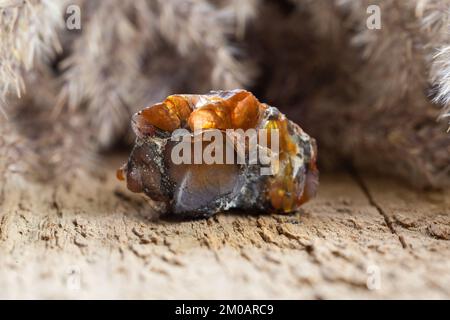 Natural Raw Fire Agate Semiprecious Gemstone on Wooden Background Stock Photo