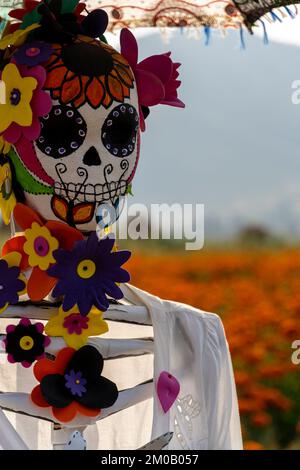 vertical portrait of young latin woman outdoors holding a flower Stock Photo
