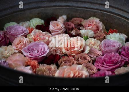 Flower arrangement in pink tones and soft colors in an old metal bucket. Photo in vintage style. Stock Photo