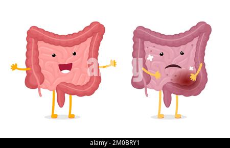 Intestines characters healthy and unhealthy comparison. Human intestine mascot good and bad condition. Cartoon gut smiling and illness sad. Bowel strong and damaged. Digestive internal organ. Vector Stock Vector
