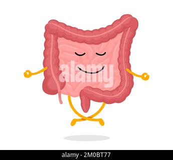 Cute cartoon healthy intestines character with dumbbells. Abdominal ...