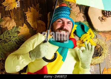 Man bearded lay on wooden background with leaves top view. Fall atmosphere attributes. Rainy weather forecast concept. Hipster wear knitted hat and Stock Photo