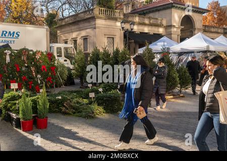 Christmas trees, wreaths and other accoutrements for sale in the Union Square Greenmarket in New York on Friday, December 2, 2022. Christmas tree prices are reported rising nationwide.  (© Richard B. Levine) Stock Photo
