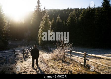 Sunny fall morning. Happy hiker stand in pine forest. View over foggy morning valley to sun. Copy space Stock Photo