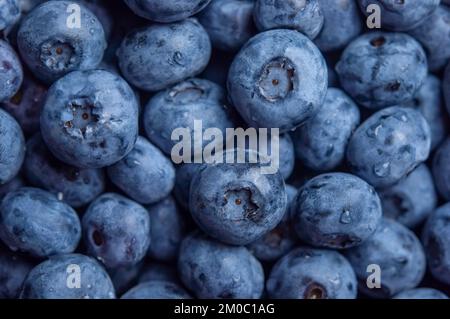 Blueberry. Water drops on ripe sweet blueberry. Fresh blueberries background. Vegan and vegetarian concept. Macro texture of blueberry berries. Stock Photo