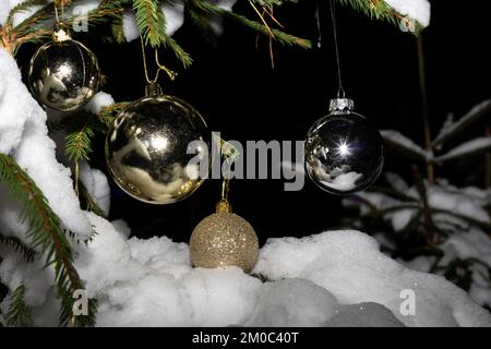 photo holiday toys round shaped hanging on the green branch of a fir tree in the forest Stock Photo