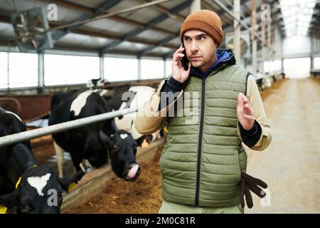 Young serious owner of modern cowfarm in green waistcoat and brown beanie talking on mobile phone against cowshed with livestock Stock Photo