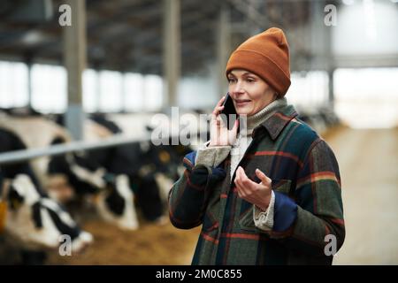 Pretty female entrepreneur in workwear talking on smartphone with fodder delivery service while standing against cowshed with cattle Stock Photo