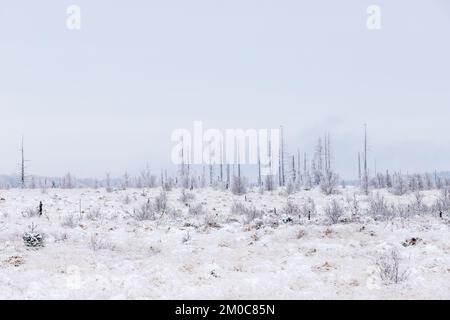 Winter landscape in the high fens in the Belgium Ardennes. A unique landscape in Europe with the highest veins of the continent. Stock Photo