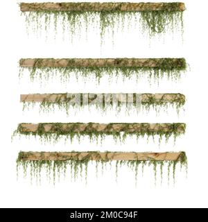 3d illustration of hanging ivy isolated on white background Stock Photo ...