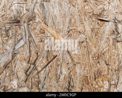 Particleboard wooden wet surface. Background and texture of OSB or MDF board. Close up. Stock Photo