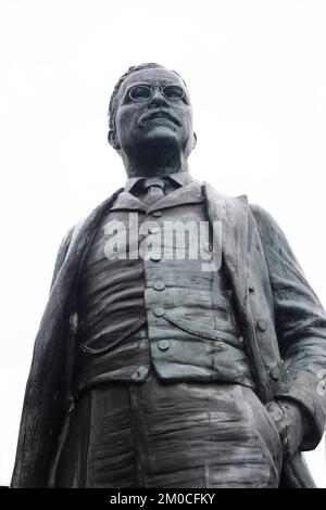 Theodore Roosevelt Inaugural National Historic site in Buffalo NY Stock Photo