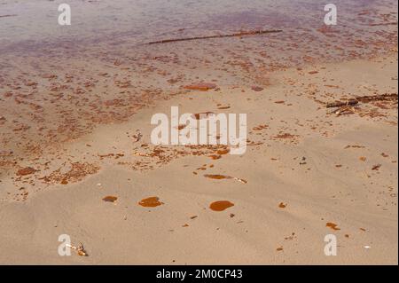 Office of the Administrator (Lisa P. Jackson) - Grand Isle (BP Oil ...