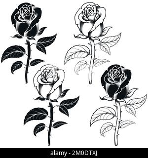 Vector design of flowers in three different styles, black and white, all on white background Stock Vector
