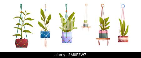 Macrame hangers with house plants in pots. Houseplants, flowers with green leaves in handmade holders from rope isolated on white background, vector cartoon set Stock Vector