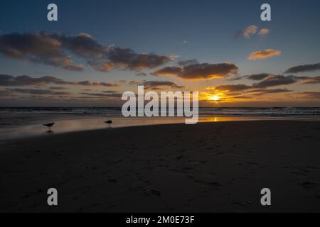 Magnificient sunset at the sea with two seagulls walking on the beach while the sun in going down at the baltic sea, Sylt, Germany. Stock Photo