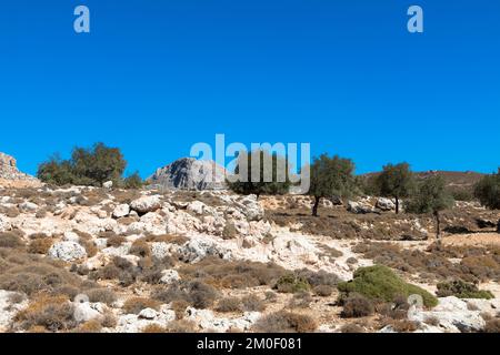 Panoramic view of typical greek mediterranean landscape with hill, olive trees and bushes. Tourism and vacations concept. Rhodos Island, Greece. Stock Photo