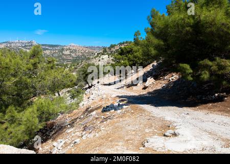 Panoramic view of typical greek mediterranean landscape with hill, olive trees and bushes. Tourism and vacations concept. Rhodos Island, Greece. Stock Photo