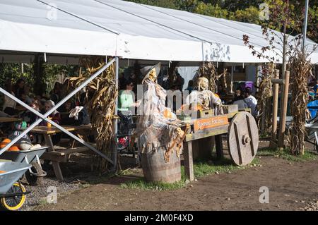 Crawley, United Kingdom - October 27 2022: Pick your own pumpkin Tulleys farm, United Kingdom. People having lunch or snack at outdoor cafe, halloween skeleton in the front, selective focus Stock Photo