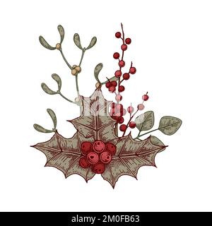 Christmas botany composition with holly leaves and berries and mistletoe. Vector illustration in sketch style isolated on white background Stock Vector