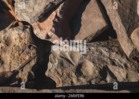 Natural texture background pattern copy space material Stock Photo