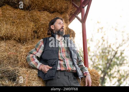 Bearded adult caucasian farmer in the hayloft.  Stock Photo