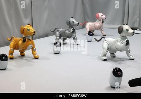 Tokyo, Japan. 6th Dec, 2022. Japanese electronics giant Sony's robot dog Aibo and communication robot Poig collaborate to dance for the demonstration of Cloud AI coordination at the Sony Technology Exchange Fair at the company's headquarters in Tokyo on Tuesday, December 6, 2022. Sony displayed their latest technologies at the event. Credit: Yoshio Tsunoda/AFLO/Alamy Live News Stock Photo